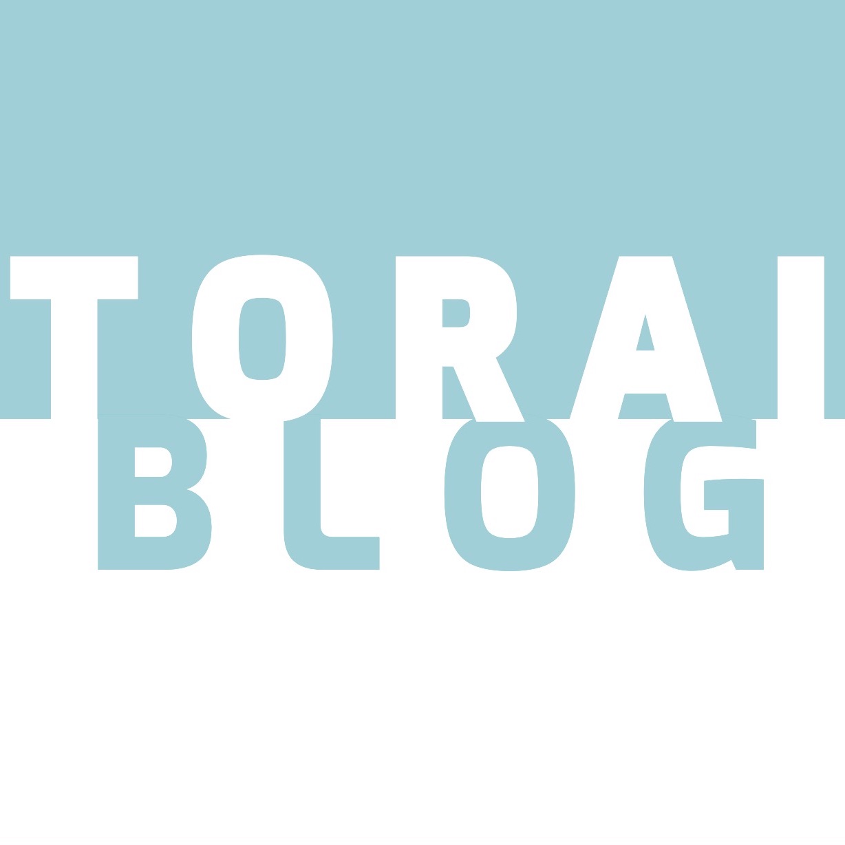 Toraiblog